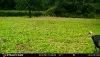 D59D4294-B0E6-42A4-AB0B-7FD84BE1D261.jpeg