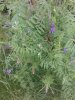 20200730_142755.jpg