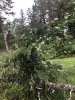 6138CB96-BD69-4F3A-AC94-6EE05D02B513.jpeg
