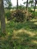 20200826_113928.jpg