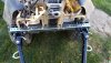 20200903_172140.jpg