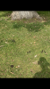 1C5C78E5-0FBC-428E-BA16-ED557A2054BE.png