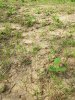 20200917_124147.jpg