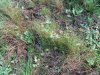 IMG_0749.JPG