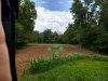 IMG_20200829_124808.jpg