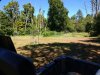 IMG_20200905_124504.jpg