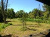 IMG_20200905_124454.jpg