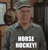 horse.PNG
