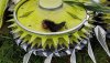 20200923_154430.thumb.jpg.52efc62d178d59326fb1d4f304d97d2fbearinsilage2(full).jpg 20200923_154430.thumb.jpg.52efc62d178d59326fb1d4f304d97d2fbearinsilage2(full).jpg