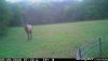 E21E7598-A7E8-431B-8578-FC5237436E49.jpeg