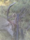 20201016_173454.jpg