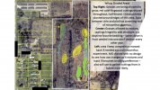 Overiew - Grasses sections.jpg Overiew - Grasses sections.jpg