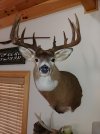 1024201004b.jpg