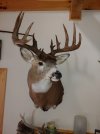 1024201004.jpg