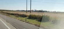 20201027_153943.jpg