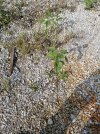 20200914_155716.jpg