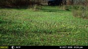 2020-10-10 Apple Trees  (17).JPG