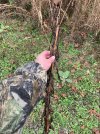 3A201725-42F0-4E2F-A47E-72690B6B77D4.jpeg