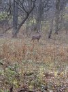 20201121_090035.jpg