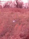 20201119_065109.jpg