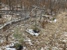 IMG_0915.JPG
