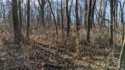 PXL_20201130_180140325.jpg