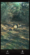 Screenshot_20201204-224845.png