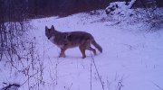 IMG_0616b.jpg