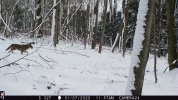 IMG_0733d.JPG