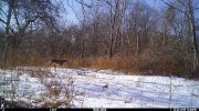 IMG_0922.JPG
