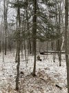 IMG_1095.JPG