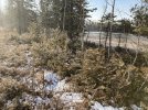 IMG_1067.JPG
