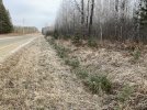IMG_1079.JPG