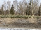 IMG_1081.JPG