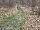 IMG_4585.JPG