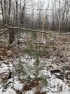 IMG_1110.JPG
