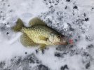 IMG_1187.JPG