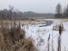 IMG_1192.JPG