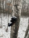 IMG_1194.JPG