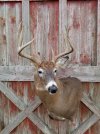 20201215_134111.jpg 20201215_134111.jpg
