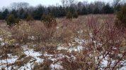 Resized952020122095153040.jpg