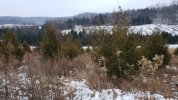 Resized952020122095153020.jpg
