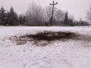 IMG_1403.JPG