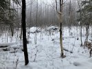 IMG_1351.JPG