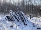 IMG_1433.JPG