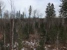 IMG_7313.JPG
