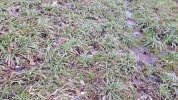 20190214_104333.jpeg