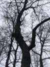 2BE751EB-E3DC-4004-9A3C-F9B7FFB69DB0.jpeg