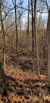 20210115_162648.jpg