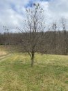 IMG-4939.jpg